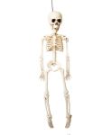 Halloween Skeleton - Plastic Adjustable Skeleton 91 Cm