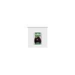 Seed Egg Plant Black Beauty Franchi Sementi
