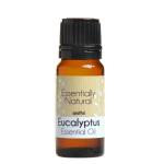 Eucalyptus Smithii Pure Essential Oil - 5L