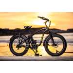 Wow 26 Classic Cruiser Ebike
