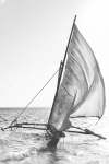 Zanzibar Ngalawa Art Print - Premium Stretched Canvas A0