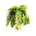 Artificial Hanging Paladin Fern In Coconut Ball