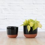 Pluto Planter - Black - 16CM