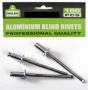 Rivets Aluminium 4818 100