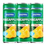 Jussvina 100% Natural Pineapple Juice 6X330ML