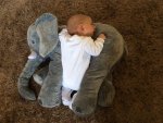 Elephant Baby Pillow - Grey