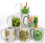 Mugs - Beeste Set Of 6