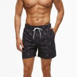 Men's Brazilian Swimshort Striped Black With Pineapples