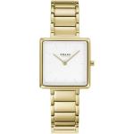 Firkant Cider Gold 28MM Watch - V259LXGISG