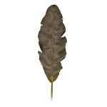 Banana Leaf 28X5X140 Brown