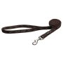 Rogz Alpinist Medium 16MM Matterhorn Fixed Dog Lead Animalgear.co.za