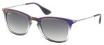 Ray Ban RB4221