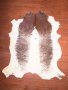 As Grade Nguni Hide 137 Brown/white XXL - Extra Extra Large / Brown/white / Panelled