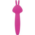 Palmpower - Vibez Waterproof Rabbit Wand