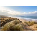 Windswept Grass On The Sand Dunes Art Photography Print Canvas 1200 X 800