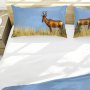 Rooi Hartebees By Fanie Heymans Duvet Cover Set Queen