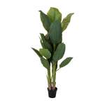Banana Tree In Pot 29 Leaves 165CM