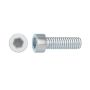 Hex Socket Cap Screw Excl Nut STL8X30 4P