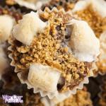 Smores Cupcake Concentrate Sc - 10ML