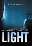 A Jagged Shard Of Light Hardcover