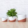 Daxi Planter - Terracotta - 13CM