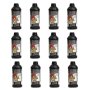 Cement Buddy 3 In 1 Plaster Enhancer Bonding Liquid 1 Litre 12 Pack