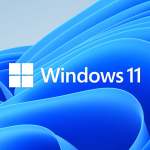 Windows 11 Professional 64-BIT - Dvd. FQC-10528