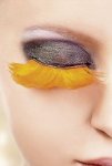 Orange Feather Eyelashes