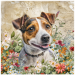 FSC2384 Printed Blanket Assorted