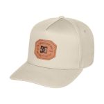 Dc Men's Reynotts Cap - Oatmeal