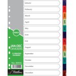 A4 Index January-december Rainbow Dividers A4 Pvc - Printed PACK10