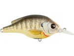 - Sunfish Crankbait- Bluegill - S- 70MM