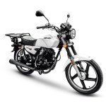 Big Boy Velocity 175 Cargo