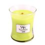 Woodwick Jasmine Medium Jar Retail Box No Warranty