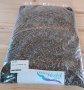 Ysd - Chia Seeds 1KG