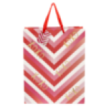 Valentine's Day Large Foiled Xoxo Gift Bag