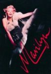 Marilyn Monroe Paperback