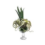 Air Plant & Rock Rose Arrangement