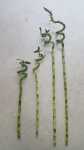 Lucky Bamboo Stems