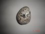Ocean Jasper Free Form SSP282