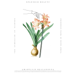Symbolism 11 Art Print