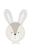 Rabbit - Canvas Print - 600MM X 600MM