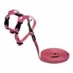 CAT Rogz Z Sparkle 8MM Extra Small H-harness And Lead Combination Pink Waggs Pet Shop