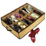 Shoe Under Organiser
