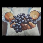 Disposable Placemats Holding Grapes 24 Piece
