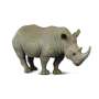 Wildlife White Rhinoceros