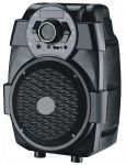 AIWA Bluetooth Speaker And Karaoke