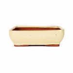 Assorted Glazed Bonsai Pots 8" - Ivory Rectangular 21 X 16 X 7CM
