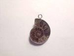 Ammonite Pendant F392