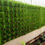 1PC Vertical Wall Garden Planter Wall Hanging Planting Plant Grow Bags For Garden Indoor Outdoor Green